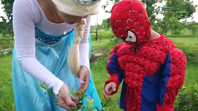 Joker vs Spiderman Fozen Elsa & Hulk, Fun Joker beggars w/ Funny Superhero Movie