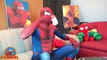 Spiderman Spidergirl Dancing in A Car Pink Spidergirl Spiderman Car Dancing Amazing Superheroes