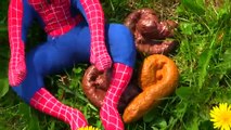 Örümcek Baba BNAP Güneş (feat Spiderman Andes Frozen Elsa) Süper Heros John Gerçek korse