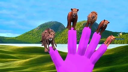 Finger Family Lion Vs Gorilla Cartoons for Children | Finger Family Nursery Rhymes Epic Battles