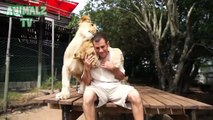 Exotic animals as pets - YouTube