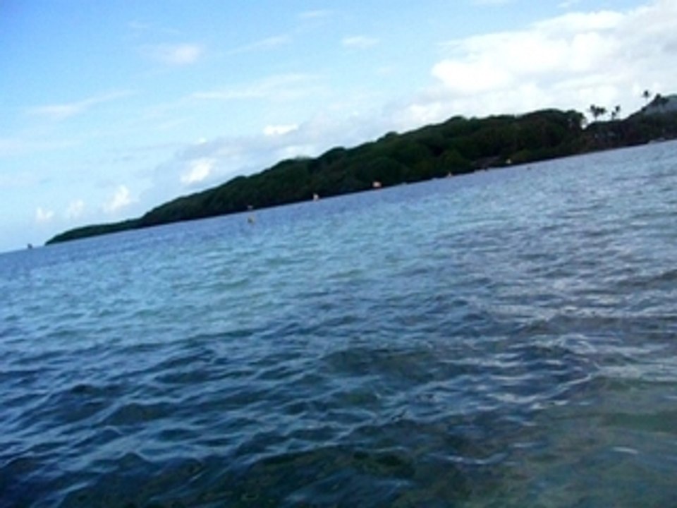 William en Martinique (La Pointe Faula) Vauclin