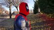 DEADPOOL vs Frog CARNAGE Deadpool Fusion IRL Spiderman Real life Superhero Movie Marvel DC