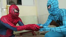 Spiderman Real Life w/ Red Spiderman & Blue Spiderman drink Tea together in Spiderman House