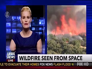 top viral videos of the week #2016