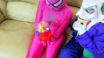Spiderman vs Joker vs Frozen Elsa - Rainbow Bubble Gum Prank! w/ Pink Spidergirl - Funny Superheroes