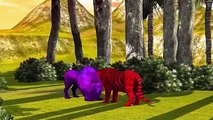 Colors Dinosaurs Gorilla Elephant Tiger Lion Bear 3D Cartoons For Children 3D Colors Animals Videos
