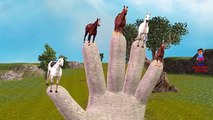 Finger Family Horse Cartoons Nursery Rhymes | 3D Horse Animation Rhymes for Children