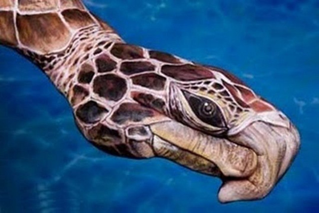 LAS MANOS MAS RAPIDAS Y CREATIVAS DEL MUNDO... NIVEL DIOS!!! LA 6 ES DE OTRO MUNDO!!!