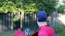 NEW Spiderman Captain America vs Venom Death Match - Fart battle in Real Life - Funny Superheroes