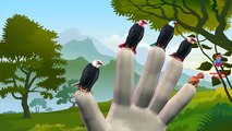 Finger Family Eagle Cartoon Nursery Rhymes | Eagle 3D Animation Songs for Children