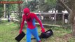Elsa Pink SpiderGirl rescue Spiderman from the venom King Kong Fun Superheroes in real life