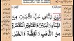 Quran in urdu Surah 003 Ayat 014A Learn Quran translation in Urdu Easy Quran Learning