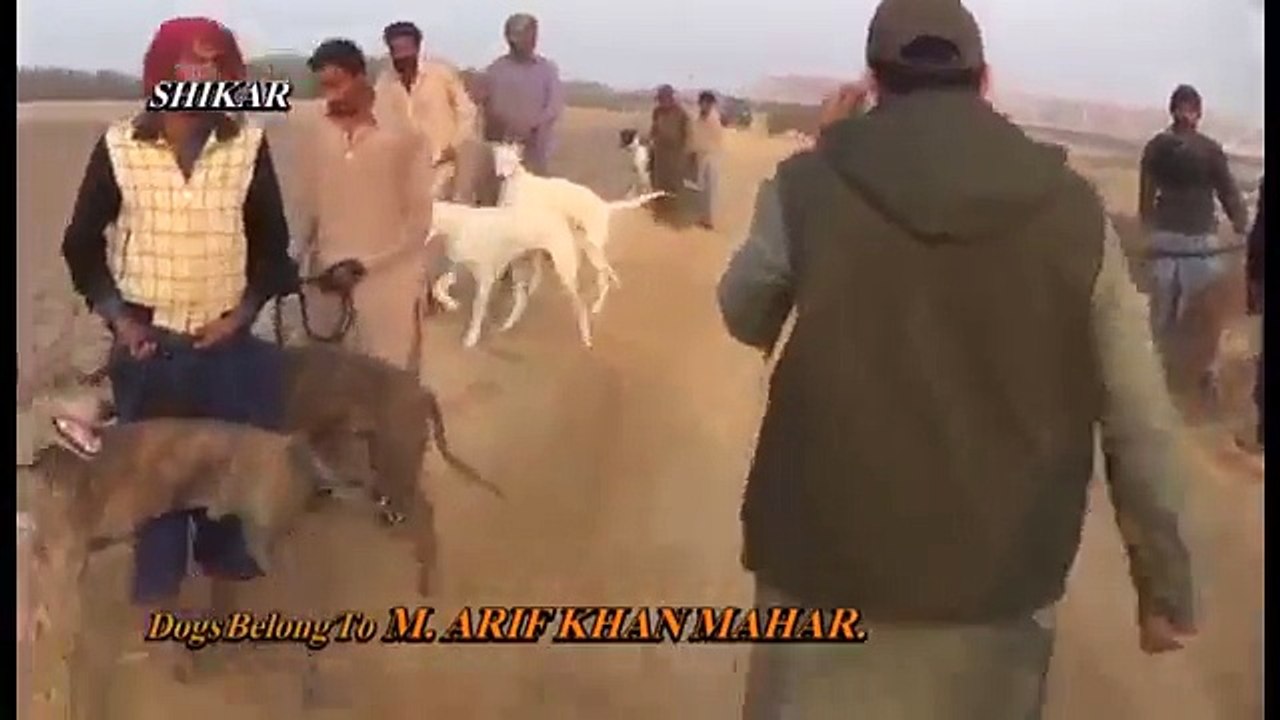 dekh kr hansii aje ge