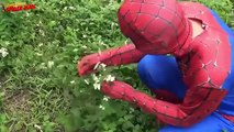 Человек-паук замороженный Elsa - Анна Supergirl Розовый килек