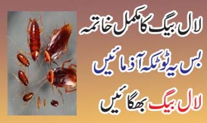 Tips To Get Ride Of Caockroches