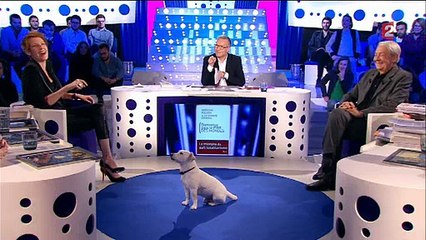 Le chien de Christophe Dechavanne perturbe "On n'est pas couché" sur France 2 - Regardez