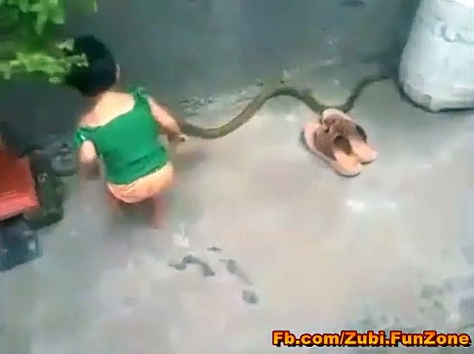 چھوٹی سی بچی بہت ہی لمبے اور خطرناک سانپ سے کھیلتے ہوئے ۔ اور جو ماں باپ میں سے ویڈیو بنا رہا ہے اس کی عقل پر ماتم ہی کیا جاسکتا ہے ۔