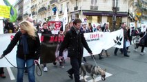 Manif du tirs aux loups suite