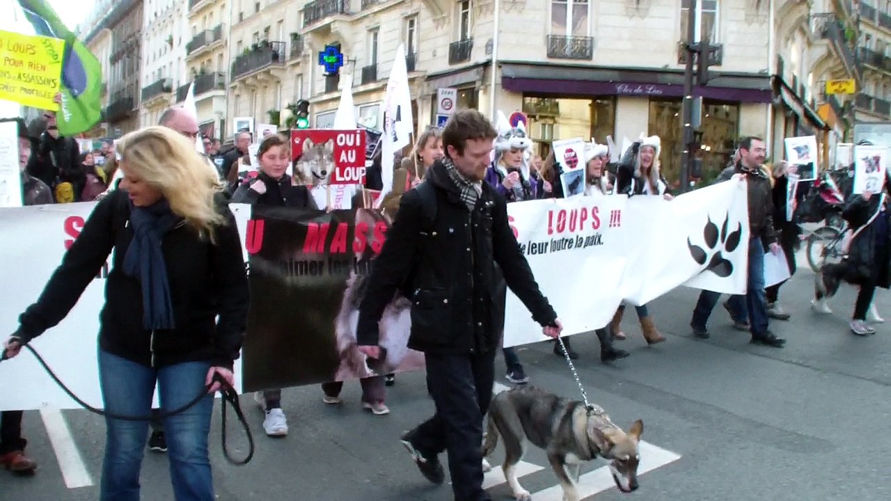 Manif du tirs aux loups suite