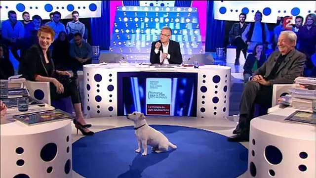 uand le chien de Christophe Dechavanne perturbe l'émission On n'est pas couché