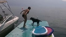 Ridicule mais tellement drole, le saut de ce chien dans l'eau