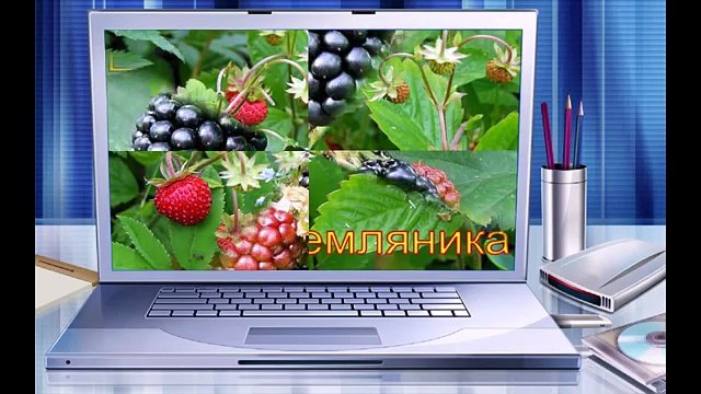 Развивающий мультик для детей по Доману (ЯГОДЫ) развивающие мультики,мультфильмы для детей