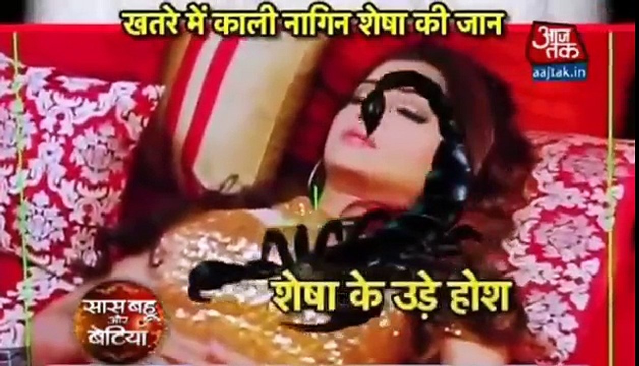 Naagin season 2 Episode 20th November 2016 KYA MARJAEGI SHESHA YA BANEGI MORNI News