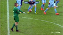 Mikael Ishak Goal HD - Randers FC 1-0 Viborg - 20.11.2016