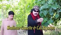 Ismail Shahid New Comedy Drama 2016 (Zoy Janjali  Plar Ye Bandali) Promo