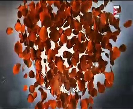 تاريخ مطعم طباخ الملك فاروق ببرنامج ست الحسن