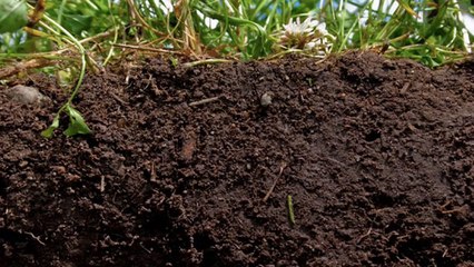 25 Earth Facts That Might Surprise You