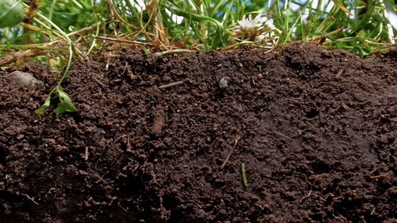 25 Earth Facts That Might Surprise You