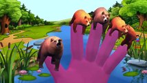 Bear Cartoon Singing Finger Family Rhymes For Babies And More Children Nursery Rhymes
