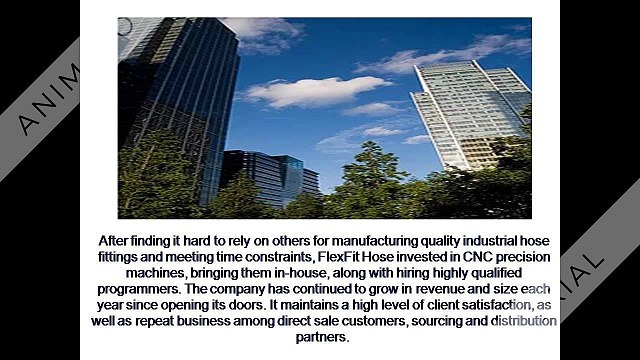 Stainless Braided Hose Assembly