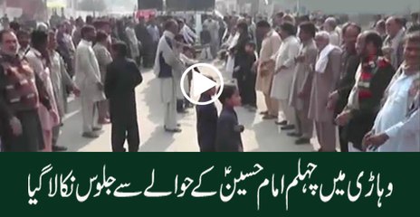 Imam Hussain as chehlum jaloos in Vehari