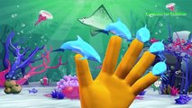Sea Animals Finger Family Nursery Rhymes | Killer Whale Shark and Dolphin Finger Family Songs