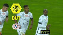 But Steve MOUNIE (56ème) / SC Bastia - Montpellier Hérault SC - (1-1) - (SCB-MHSC) / 2016-17