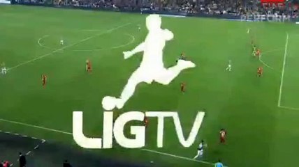 Robin van Persie Goal - Fenerbahce 1-0 Galatasaray 20.11.2016