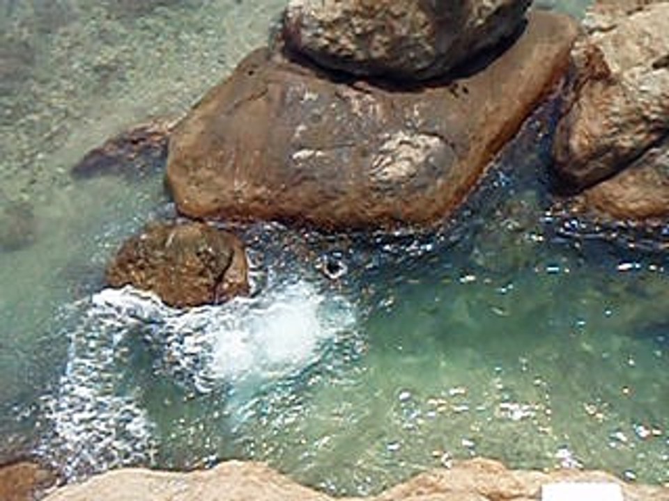 Sri Lanka März2015 115