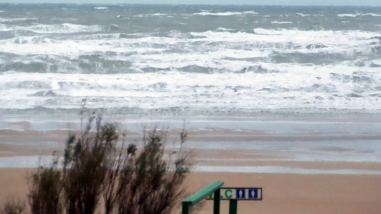 tempete
