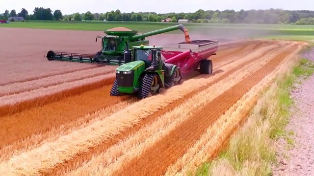 24000 dönüm buğdayın hasadı bakın nasıl oluyor