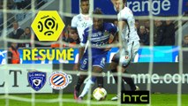 SC Bastia - Montpellier Hérault SC (1-1)  - Résumé - (SCB-MHSC) / 2016-17