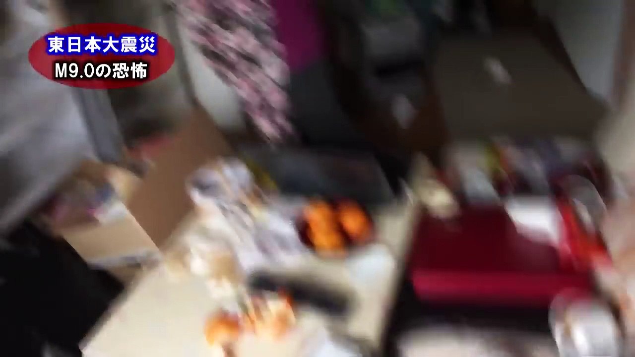 Terremoto di magnitudo 9.0 in Giappone. Ecco come resistono gli edifici