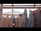 Cat Jump Fail - Music : Sail by AWOLNATION