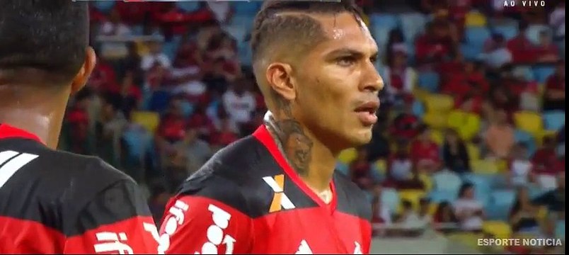 Flamengo vs Coritiba 2-1 Gol de Amaral 36ª Rodada do Brasileirão 20-11-2016 (HD)