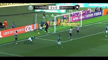 Télécharger la video: Palmeiras 1 x 0 Botafogo - Gol & Melhores Momentos - Campeonato Brasileiro 2016