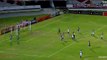 Santa Cruz vs  Atlético MG 3-3  Gol de Hyuri 36ª Rodada do Brasileirão 20-11-2016 (HD)