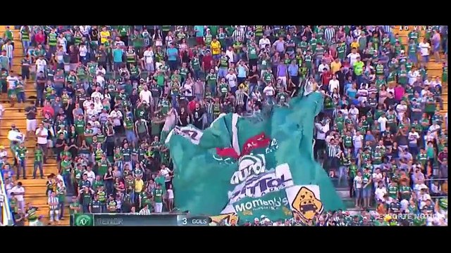 Os Gols Chapecoense vs São Paulo Flamengo vs Coritiba 2-0 Gol de Kleber Gladiador 36ª Rodada do Brasileirão 20-11-2016