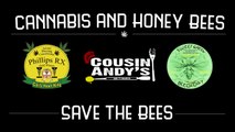 Naturally Infused Honey & The Effects of Cannabis on Bees